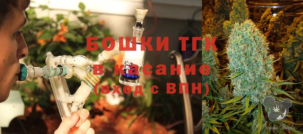 мяу мяу кристалл Богданович