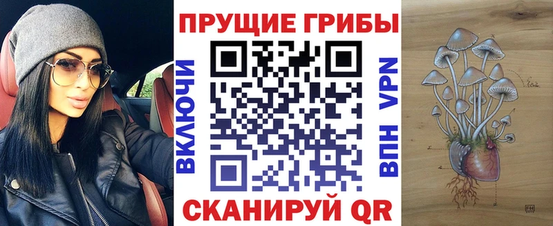 Купить закладки  Навашино  Псилоцибиновые грибы Psilocybine cubensis 